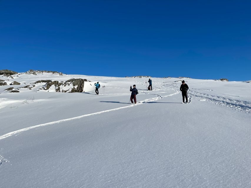 Tromso: Scenic & Eco-Friendly Snowshoeing Tour - Price Check: Does $166 Feel Like Good Value?
