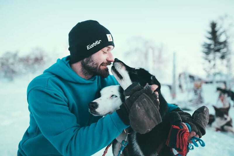 Tromsø: Self-Drive Husky Dog Sledding Adventure - Key points at a glance