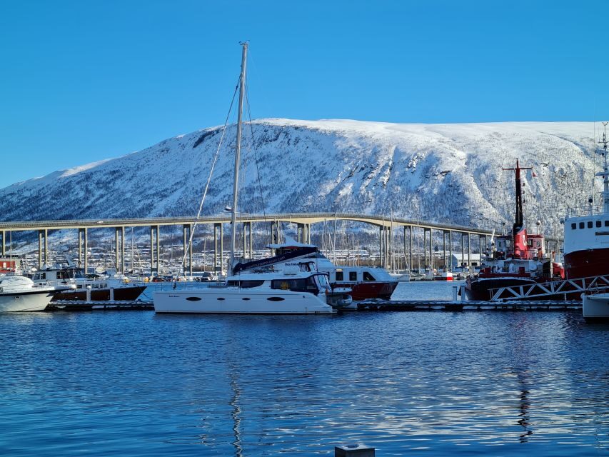 Tromso: Sightseeing Cruise by Catamaran with Snacks & Drinks - How the 2 hours on board actually plays out