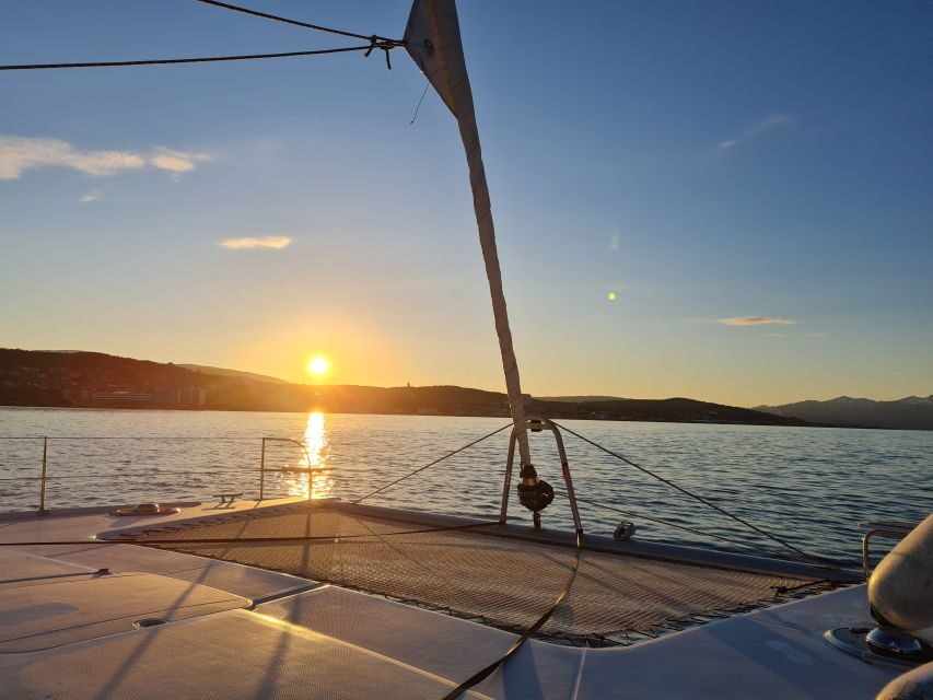Tromso: Sightseeing Cruise by Catamaran with Snacks & Drinks - Price and value: is $136 worth 2 hours?