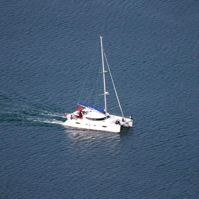Tromso: Sightseeing Cruise by Catamaran with Snacks & Drinks - Who should book, and who should consider skipping