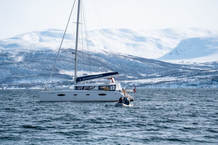 Tromso: Sightseeing Cruise by Catamaran with Snacks & Drinks - Practical tips for comfort, photos, and smoother wildlife scanning