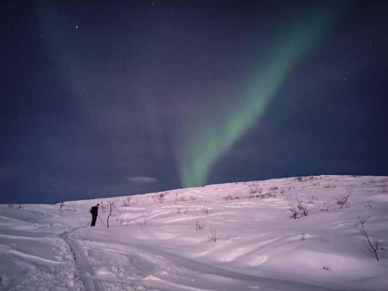 Tromsø: Ski touring (ski de randonnee) - Your Ski Level and Fitness: The Non-Negotiables