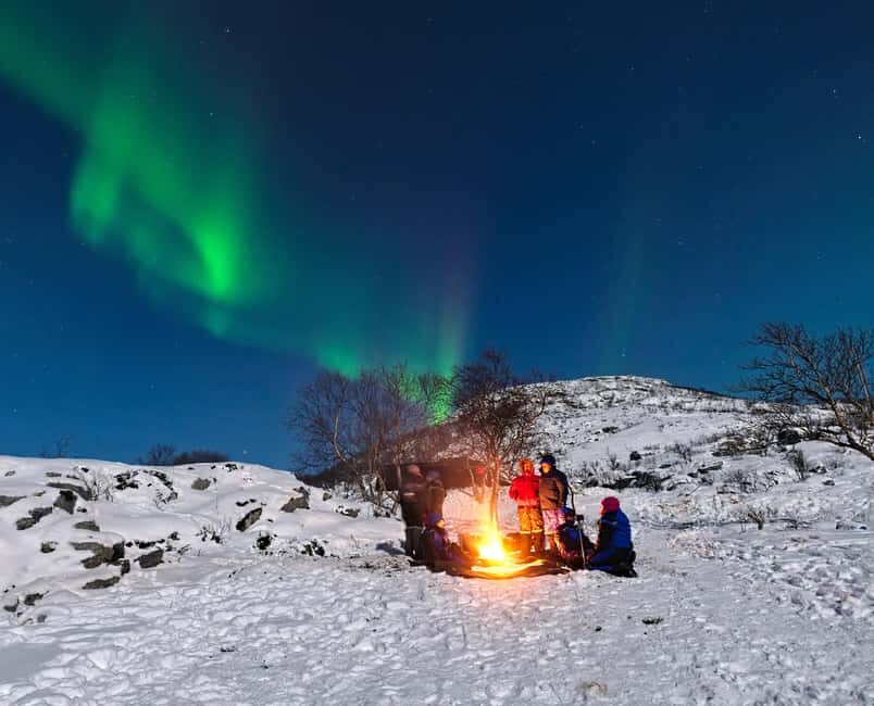 Tromsø: Small Group Northern Lights Hunt - Tromsø After Dark: What You’re Really Paying For