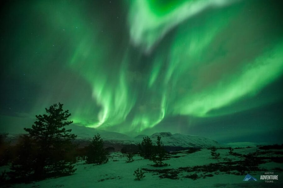 Tromsø: Small Group Northern Lights Hunt - What to Bring (So You Don’t Get in Your Own Way)