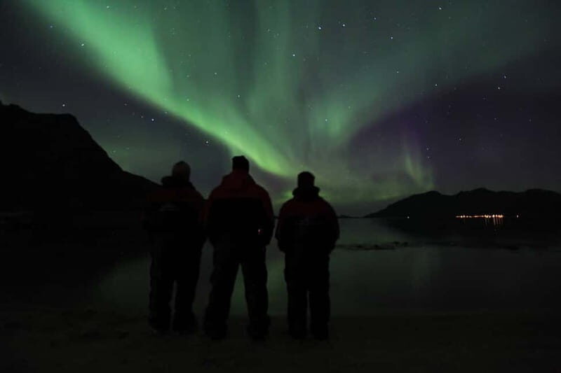 Tromsø: Small Group Northern Lights Hunt - Guides and Drivers: Who You’ll Be With (and Why It Matters)