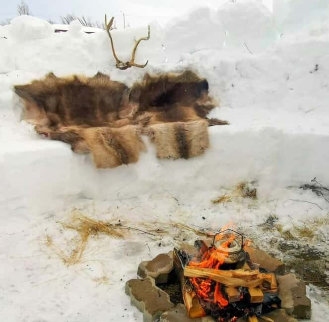 Tromsø: Snow Sledding, Mini Skiing, Lasso and Reindeer Hides - Key Things That Make This Tromsø Winter Evening Worth Your Time