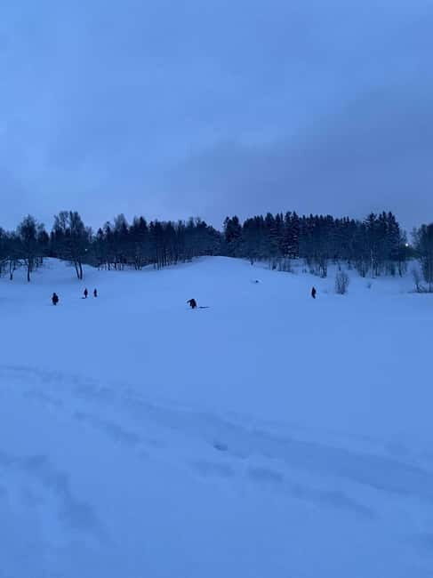 Tromsø: Snow Sledding, Mini Skiing, Lasso and Reindeer Hides - Northern Lights Potential: Watching the Sky Without Overpromising