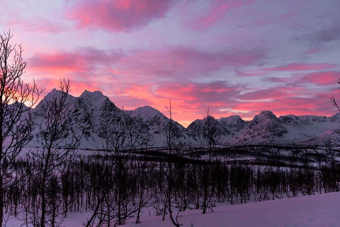 Tromso-Snowshoeing Excursion to Viewpoint - Starting at Radisson Blu: why the 11:00 pickup works