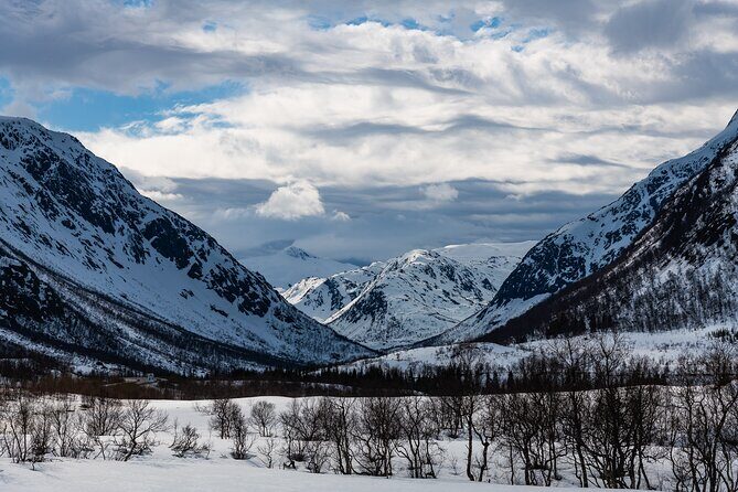 Tromso-Snowshoeing Excursion to Viewpoint - Midway magic: coffee, tea, muffins, and snow angels