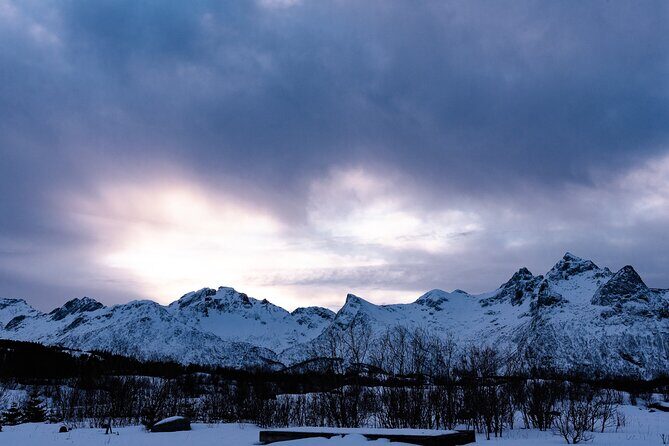 Tromso-Snowshoeing Excursion to Viewpoint - The return: back to the car, back to warmth