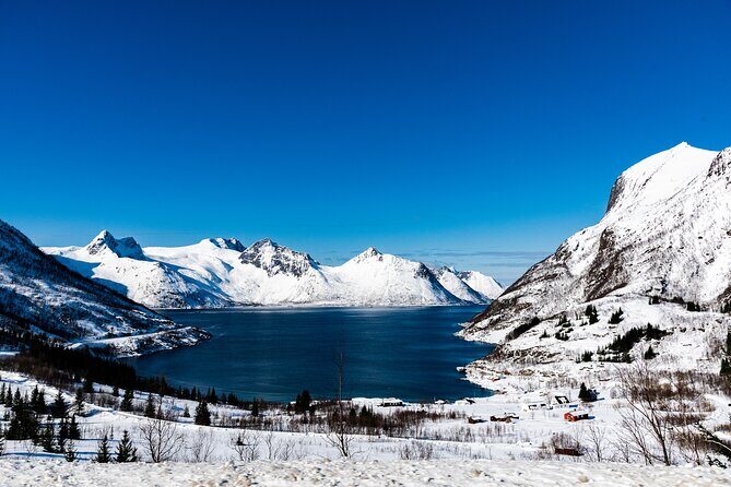 Tromso-Snowshoeing Excursion to Viewpoint - Gear check: warm suits and boots without overthinking it