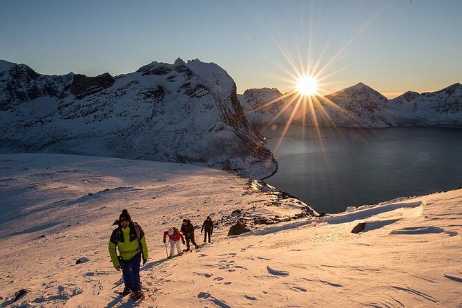 Tromso Snowshoeing - Valley, Fjord Views, Wildlife, Meal & Pickup - Tromsø snowshoeing that actually shows you the Arctic