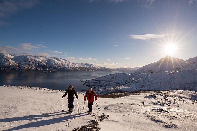 Tromso Snowshoeing - Valley, Fjord Views, Wildlife, Meal & Pickup - The mountain walk: fjord views, wildlife spotting, and pacing