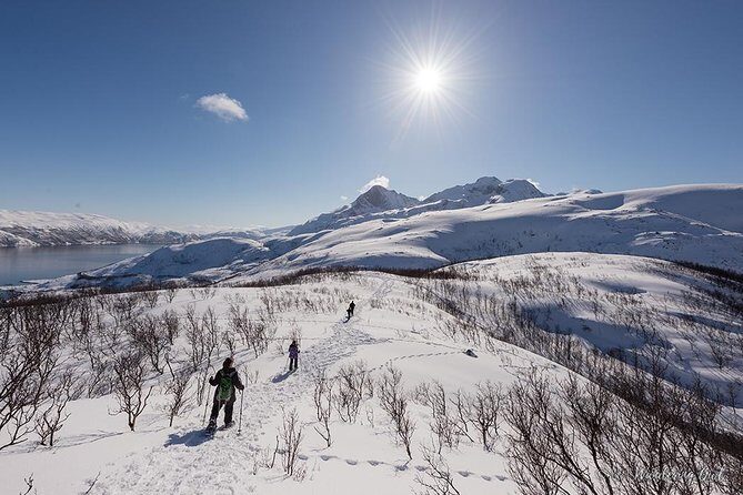 Tromso Snowshoeing - Valley, Fjord Views, Wildlife, Meal & Pickup - Price and value: what $129.17 really buys in Tromsø
