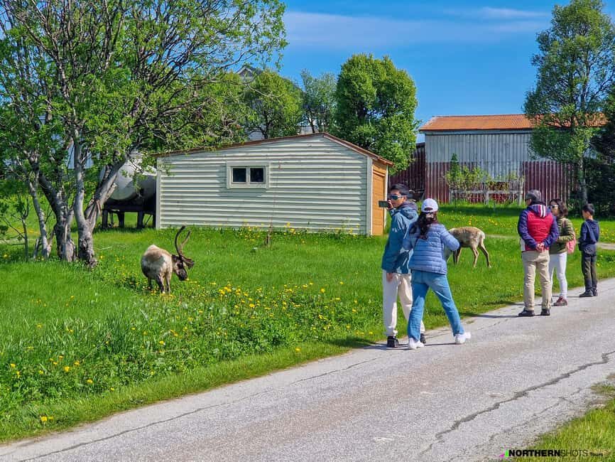 Tromsø: Sommaroy Fjord Tour with Lunch Option & Midnight Sun - Midnight Sun Option: What the 9pm–11pm Window Really Means