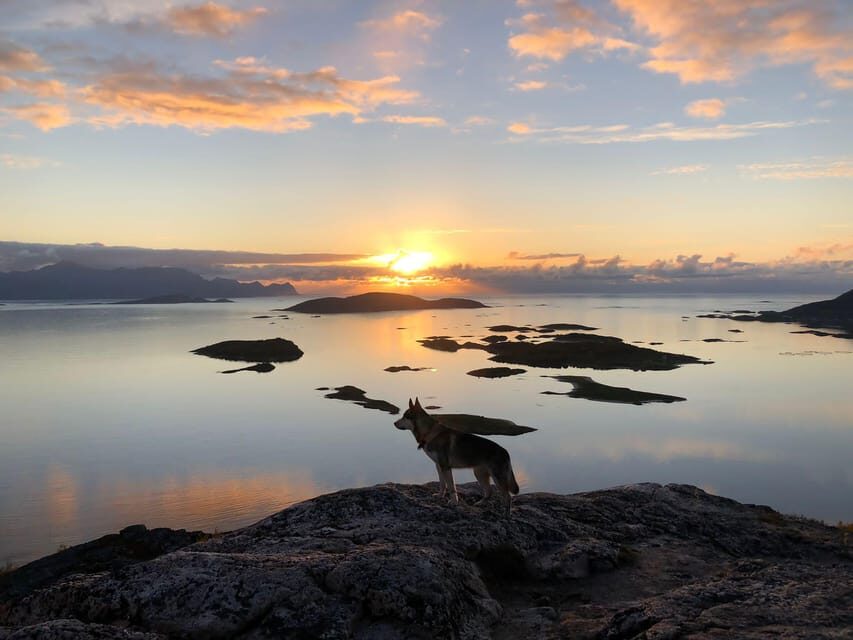 Tromsø: Sommarøy Islands Midnight Sun Tour - Price and value: is it worth it for a 4-hour night?