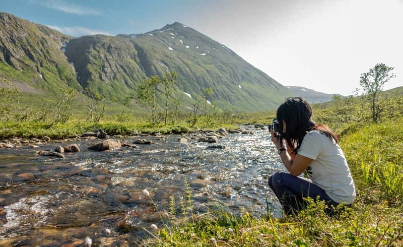 Tromsø: Summer Day Hike in the wilderness - Who Should Book This Brosmetinden Summer Hike