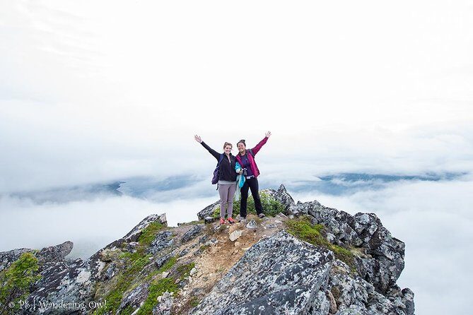 Tromsø: Summer Day Hike with Wandering Owl - Price and Value: Is $156.16 a Fair Deal?