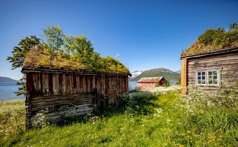 Tromsø: Summer Fjord Road Trip with Citizen Science - Key highlights to look for on this Tromsø summer fjord road trip