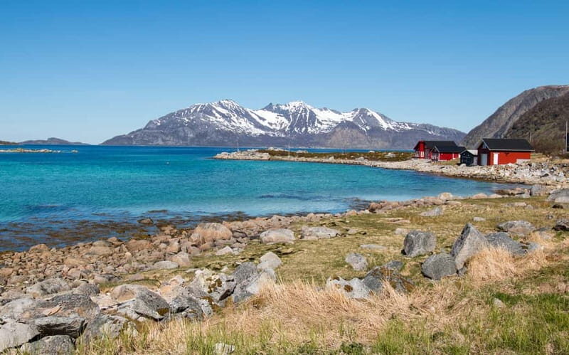 Tromsø: Summer Fjord Road Trip with Citizen Science - Citizen science in the field: collecting data you can feel good about