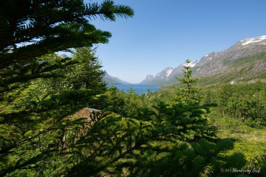 Tromsø: Summer Fjord Road Trip with Citizen Science - Weather, clothes, and the little practicalities that matter