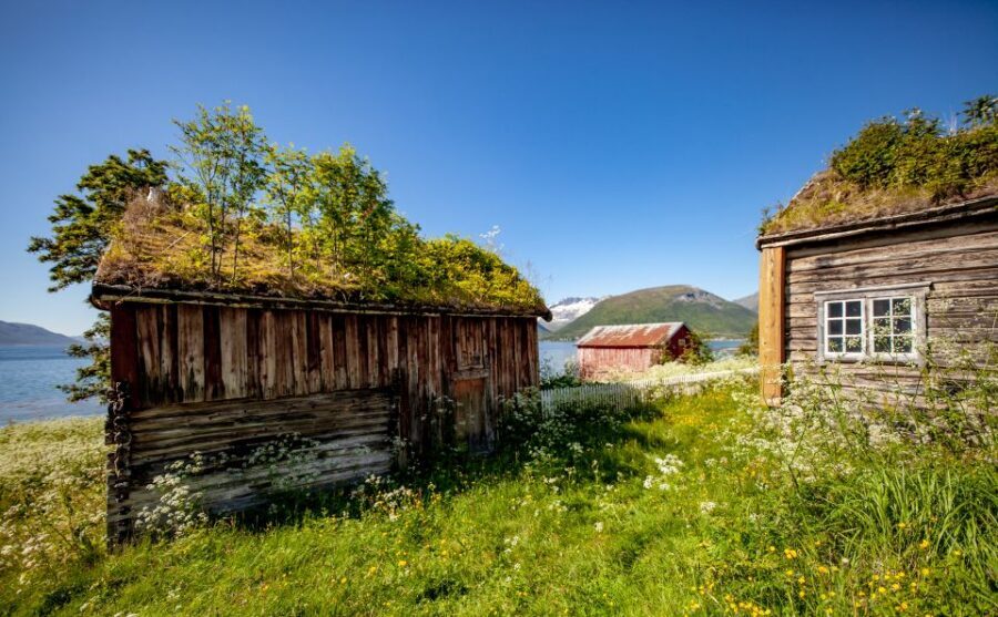 Tromsø: Summer Fjord Road Trip with Citizen Science - Getting to the meeting point without stress