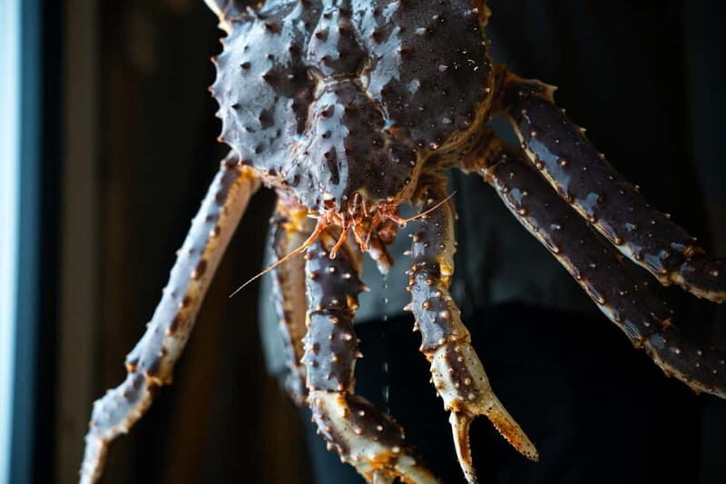 Tromsø: Tasty King Crab Adventure - Key things to know before you go