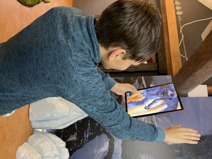 Tromsø: Troll Museum Entry Ticket with AR Media Experience - Should you book the Troll Museum AR ticket in Tromsø?