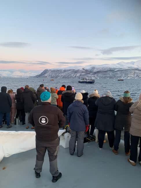 Tromsø Whale Safari with MS Keiser Wilhelm - Key Things That Make This Safari Worth It