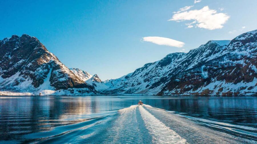 Tromsø Whale Safari with MS Keiser Wilhelm - From Nerstranda Quay to Whale Ground: Timing and What 6–8 Hours Feels Like