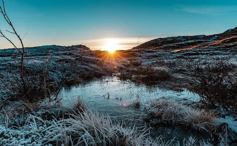 Tromsø: Winter Fjord Road Trip with Citizen Science - From Scandic Ishavshotel to the coast: what the route is really like