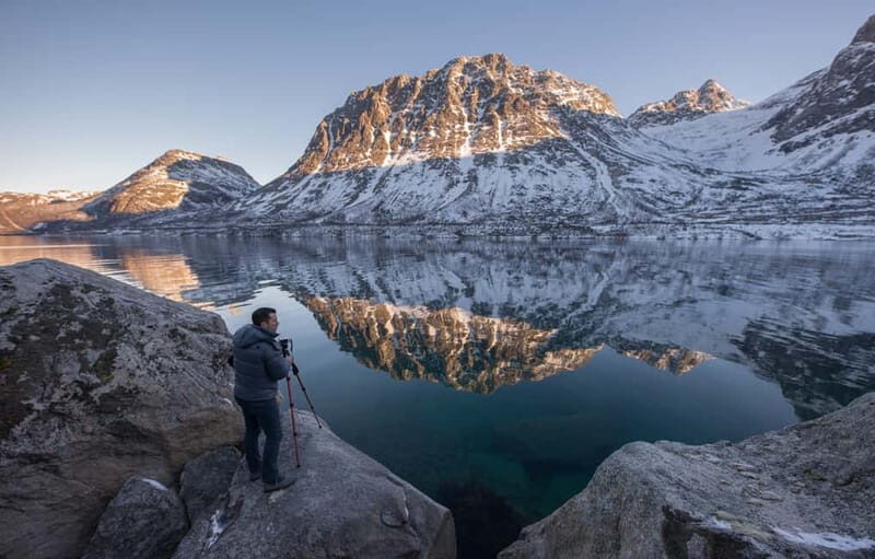 Tromsø: Winter Fjord Road Trip with Citizen Science - Wildlife spotting: reindeer, seabirds, otters, and sea eagles