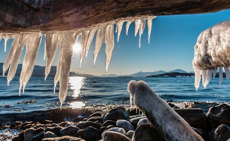 Tromsø: Winter Fjord Road Trip with Citizen Science - Guides like Gordon and Petr: what great guiding looks like here