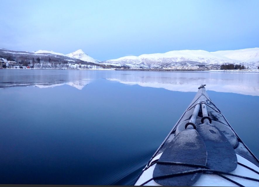 Tromsø: Winter Sea Kayaking Tour with Wildlife Sightings - Why winter sea kayaking off Tromsø feels so special