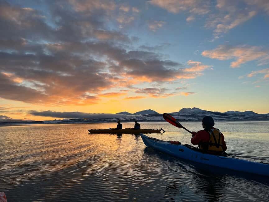 Tromsø: Winter Sea Kayaking Tour with Wildlife Sightings - Paddling technique and the pace (what beginners should watch for)