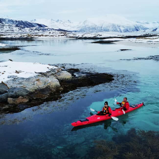 Tromsø: Winter Sea Kayaking Tour with Wildlife Sightings - Wildlife spotting in the Barents Sea: what to look for