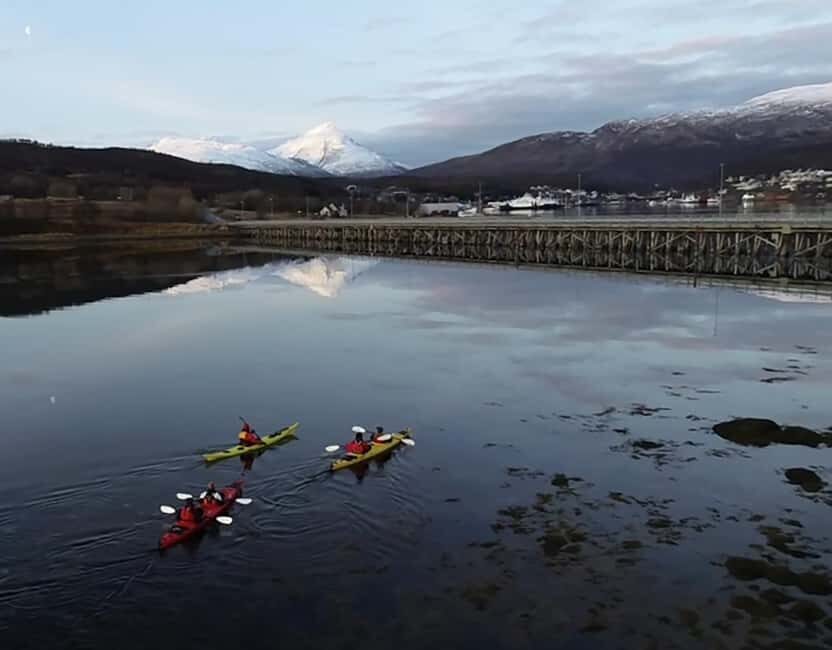 Tromsø: Winter Sea Kayaking Tour with Wildlife Sightings - Stopping to warm up: fire, hot drinks, and a real reset