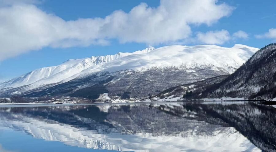 Tromsø’s Top-Rated Fjord & Fishing Cruise – All-Inclusive - Ryøya (Ryaøya) photo stop: wildlife spotting with real context