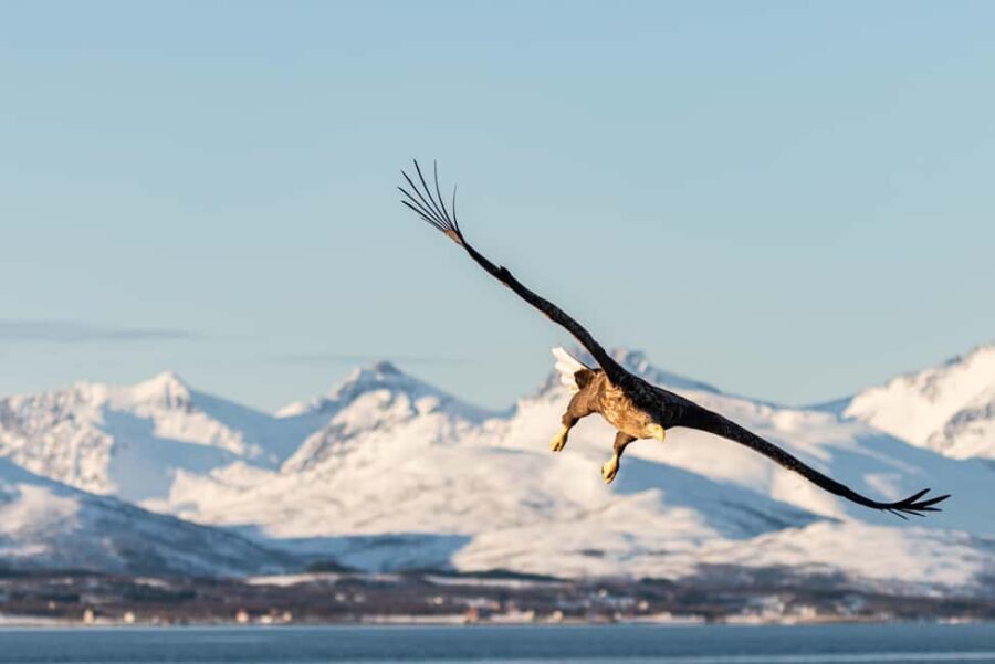 Tromsø’s Top-Rated Fjord & Fishing Cruise – All-Inclusive - What to pack (and what not to bring) for Arctic comfort