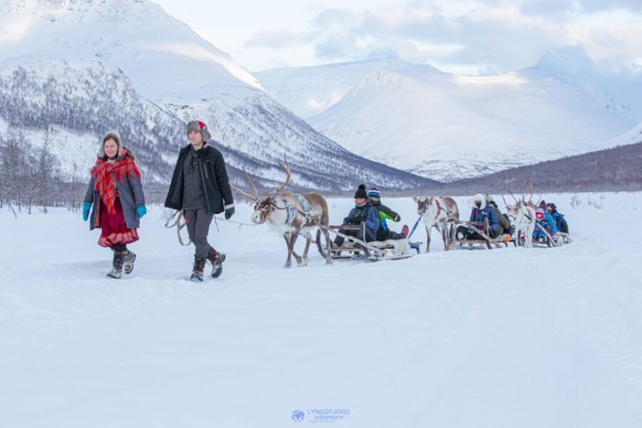 True Locals of the Arctic: Reindeer Sledding at Camp Tamok - Why Camp Tamok feels like real Arctic winter, not a drive-by