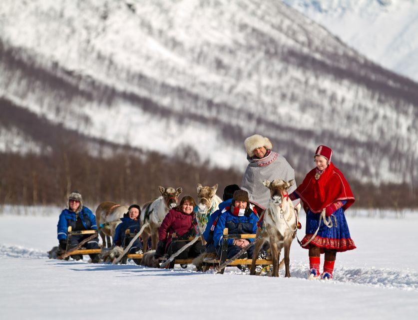 True Locals of the Arctic: Reindeer Sledding at Camp Tamok - The minibus transfer and the small-herd start