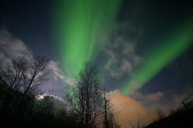 Watching The Aurora Dance - Photos: one tripod to borrow and OneDrive sharing