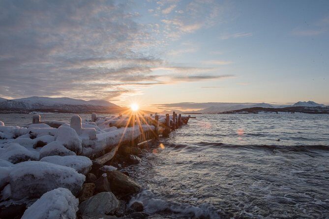 Winter Fjord Road Trip with Wandering Owl - The home-style lunch and warm drinks that keep you human