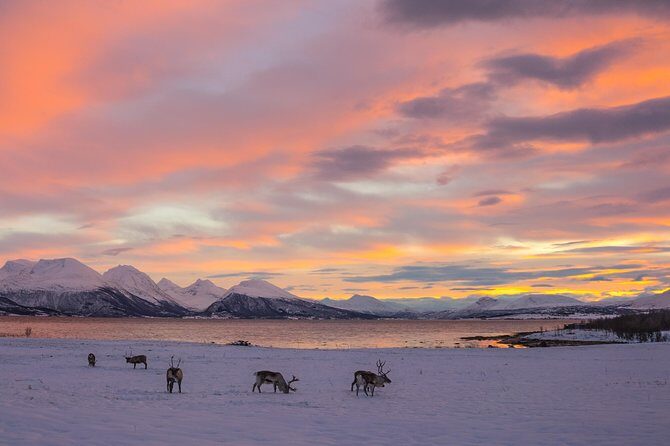 Winter Fjord Road Trip with Wandering Owl - Dressing for Arctic reality (and what’s not included)