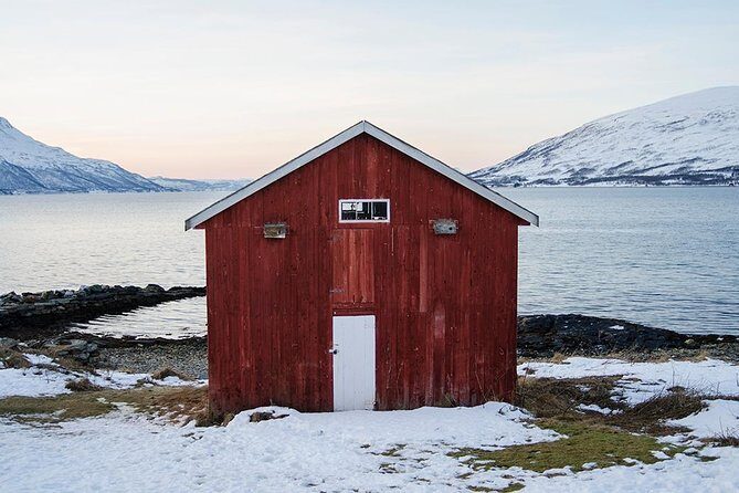 Winter Fjord Road Trip with Wandering Owl - The half-day timing: perfect for limited time, not for a long expedition